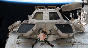 Geko kravler rundt udenpå ISS