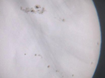 Stor Solpletgruppe 28 marts 2001 (C) Astronomibladet