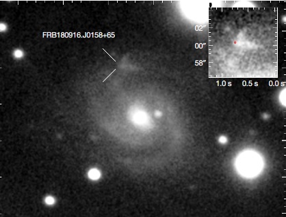 Fast Radio Burst FRB180916.J0158+65 og dens placering i værtsgalaksen