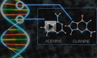 DNA / RNA i rummet