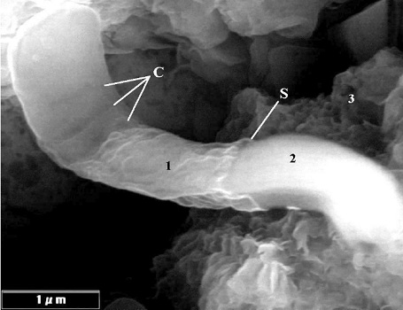 Filament i Ivuna meteoritten