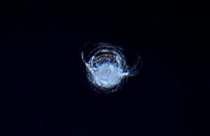 Mikrometeoritkrater i Copulaens glas på ISS