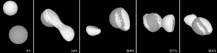 Simulation af dannelsen af komet 67P