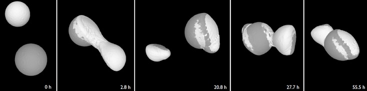 Simulation af dannelsen af komet 67P Simulation af dannelsen af komet 67P