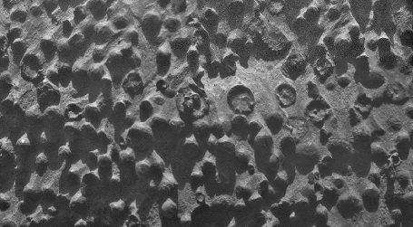 Mars Blueberries