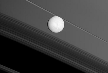 Saturn månen Enceladus med ringene i baggrunden